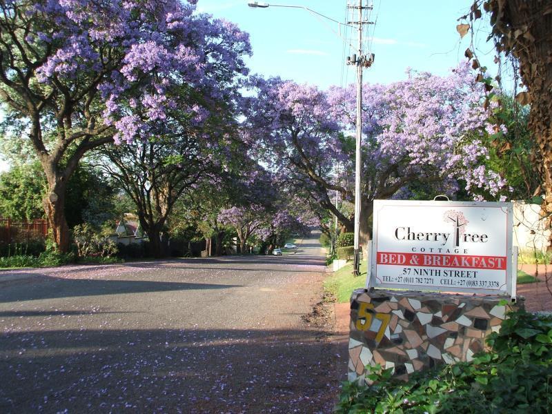 Cherry Tree Cottage B&B Linden Johannesburg Eksteriør billede