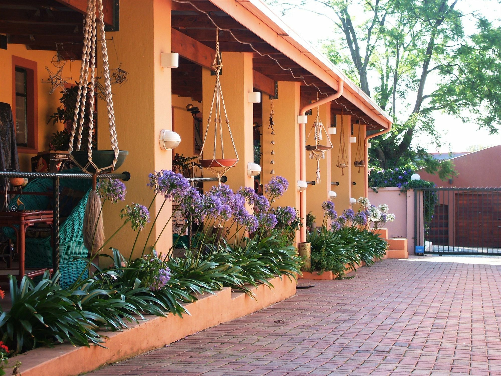 Cherry Tree Cottage B&B Linden Johannesburg Eksteriør billede